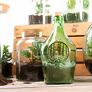 DIY Terrariumflasche mit Seitenöffnung, Komplettset, 3 Liter | #3