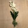 Kunstpflanze Orchidee Vanda, weiß | #3