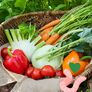 TERRAVERM® BIO Wurmhumus für Tomaten und Gemüse, 10 Liter | #3