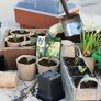 Minigewächshaus Rootmaster für 32 Pflanzen | #3