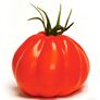 Tomatenpflanze Fleischtomate Corazon, verdelt | #3