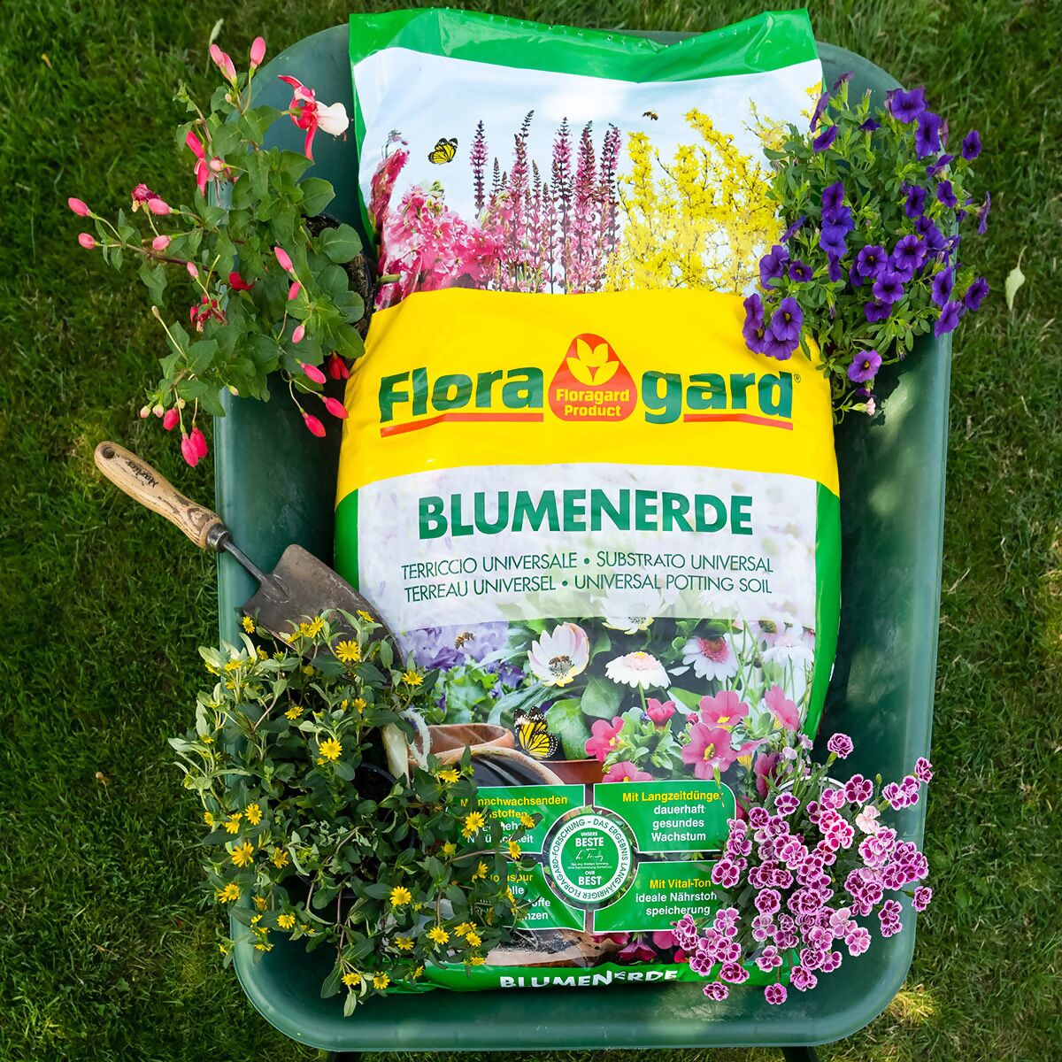 Blumenerde, 70 Liter online kaufen bei Gärtner Pötschke