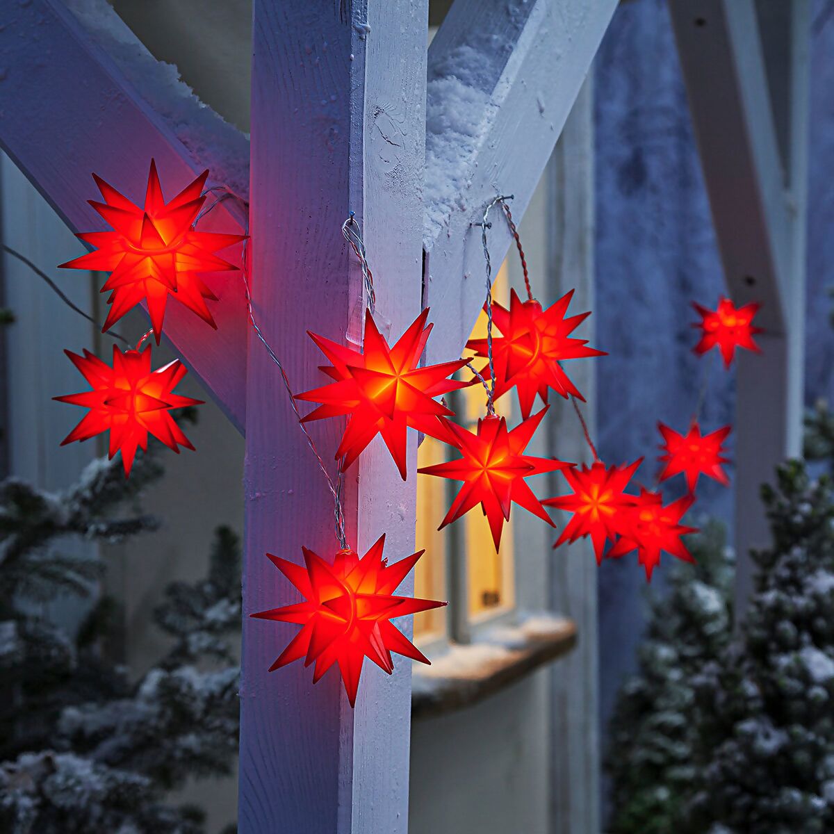 rot bei LED-Lichterkette kaufen online Pötschke Weihnachtstern, Gärtner
