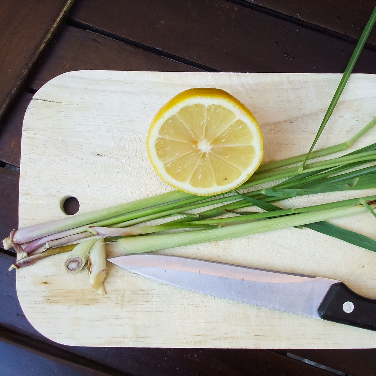 Kräuterpflanze Zitronengras Tasty Lemon, im ca. 12 cm-Topf
| #4