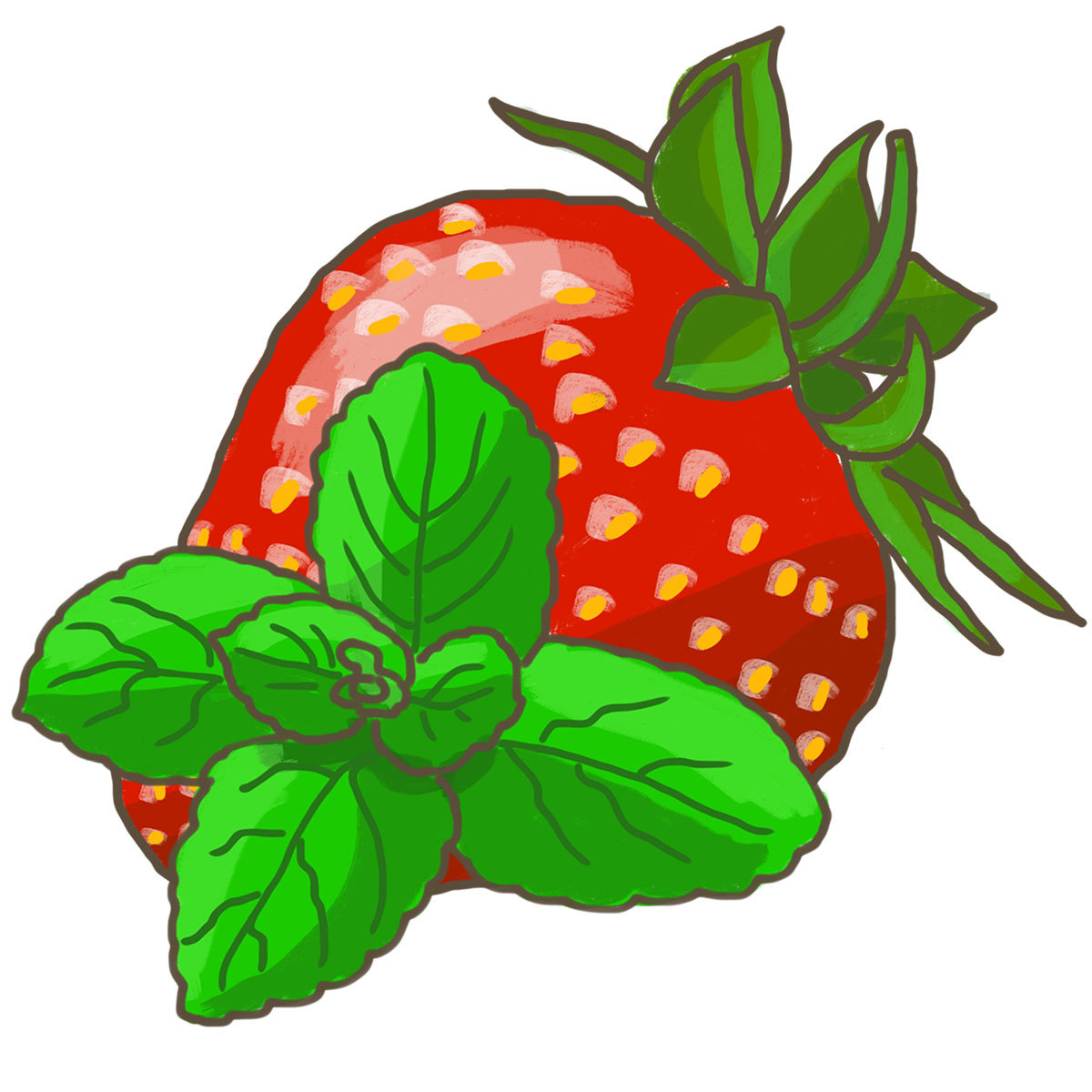 BIO Kräuterpflanze Erdbeer-Minze, im ca. 12 cm-Topf online kaufen bei ...