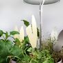 Sunlite Pflanzenlampe, 7 W, 28-100 cm, Ø 11, Kabel 4 m,Aluminium, grau | #4