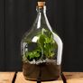 DIY Terrariumflasche mit Seitenöffnung, Komplettset, 3 Liter | #4