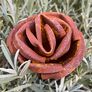 Gartenstecker Rosenblüte, Edelrost, ca. 45 cm | #4