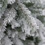 Künstlicher Weihnachtsbaum Fichte, Schneeoptik, 180 cm | #4