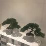 Kunstpflanze Bonsai, 2er-Set | #4