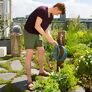 City Gardening Terrassen-Spiralschlauch, 7,5 m | #4