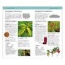 Heilpflanzen Kompaktlexikon von A-Z | #5