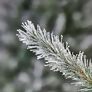 Künstlicher Weihnachtsbaum Fichte, Schneeoptik, 180 cm | #5