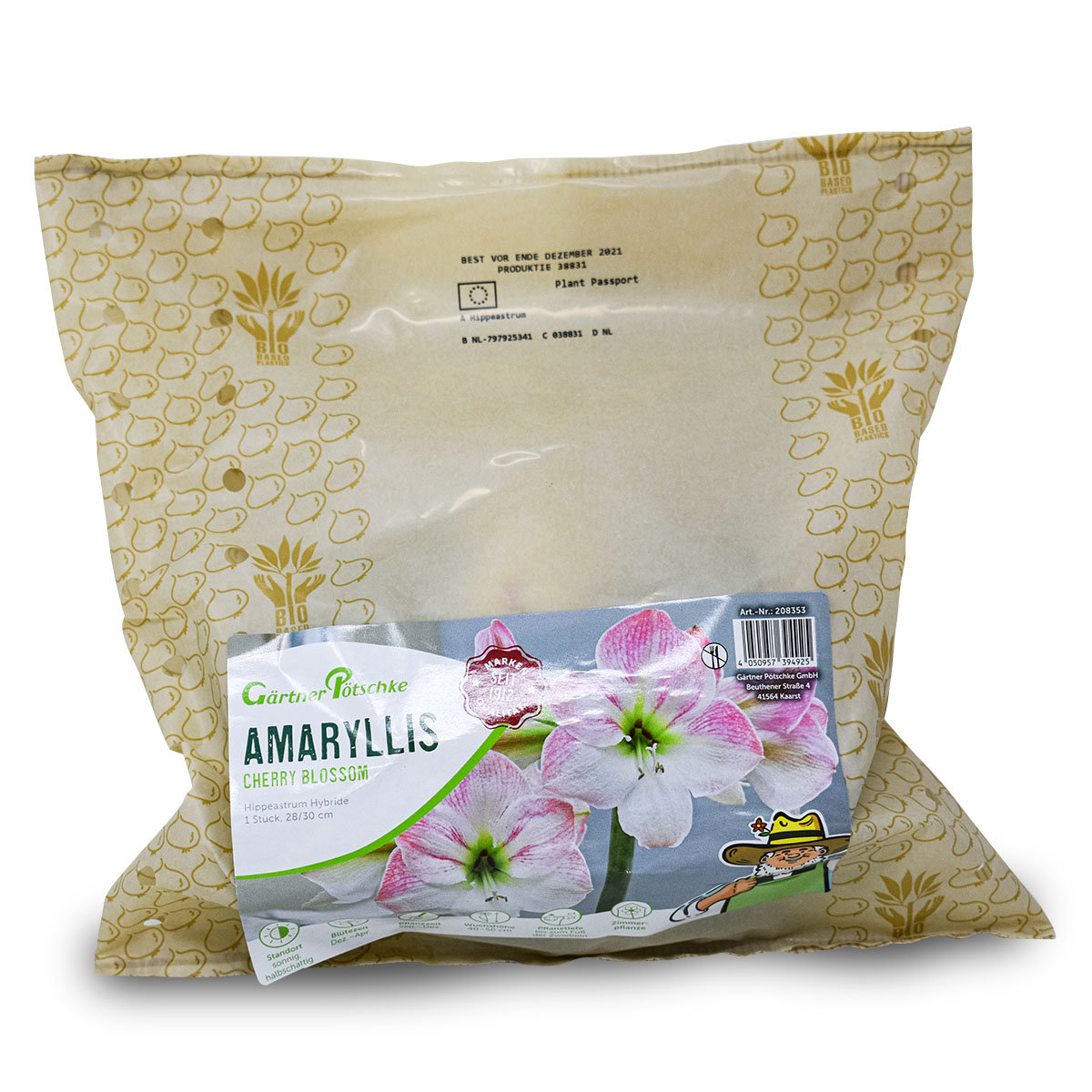 Amaryllis Cherry Bloss
| #6