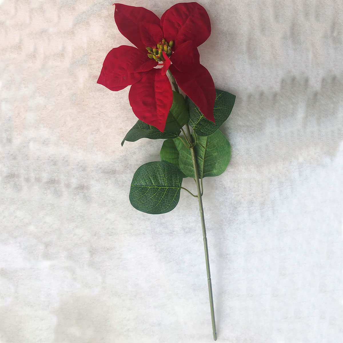 Kunstpflanze Poinsettia, rot
| #6