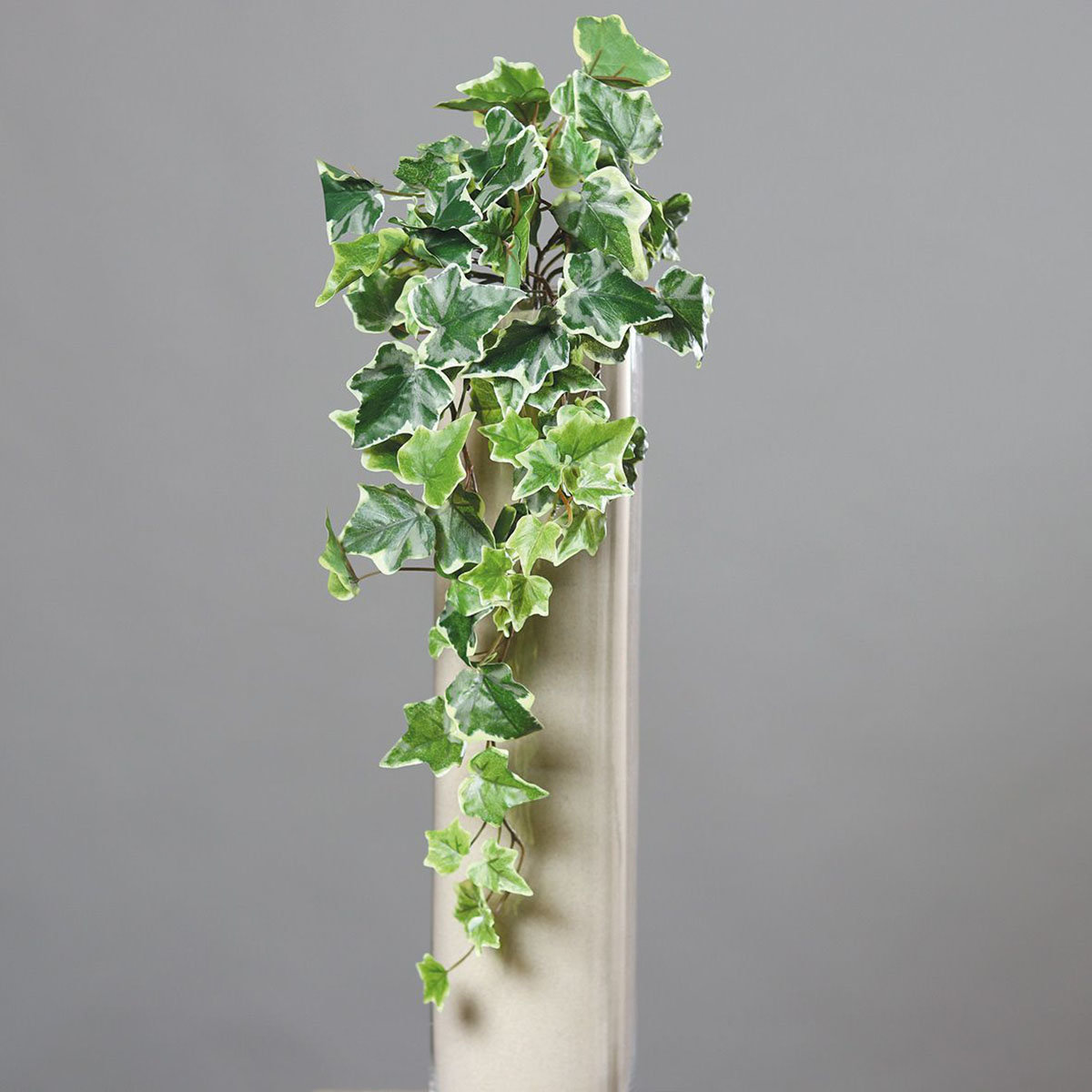Kunstpflanze Efeuhänger, 45 cm, weiß-grün
| #6