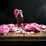 Essbare Culinaric Rose, rosa-apricot, im ca. 22 cm-Topf | #7