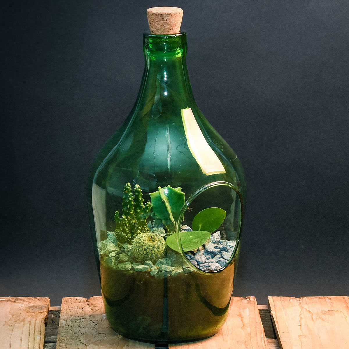 DIY Terrariumflasche mit Seitenöffnung, Komplettset, 3 Liter
| #8