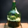 DIY Terrariumflasche mit Seitenöffnung, Komplettset, 3 Liter | #9