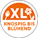 Logos_XL_Knospig_Bluehend