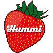 logo-hummi-erdbeere
