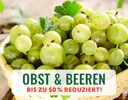 + (3) Obst + - 4