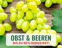 + (3) Obst + - 4