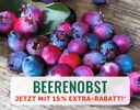 + (2) Beerenobst + - 4